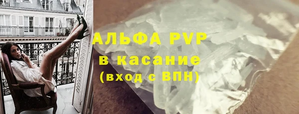шишки Аркадак