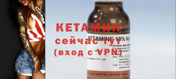 шишки Аркадак