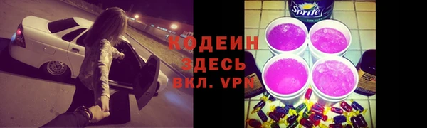 шишки Аркадак