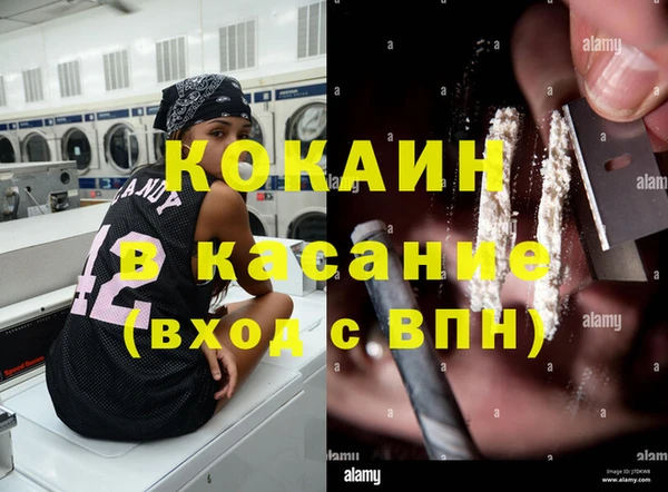 шишки Аркадак