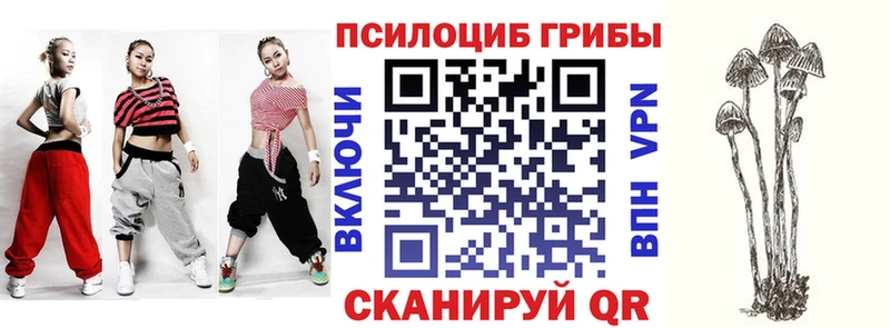 Купить где  Кондрово  Галлюциногенные грибы Cubensis 