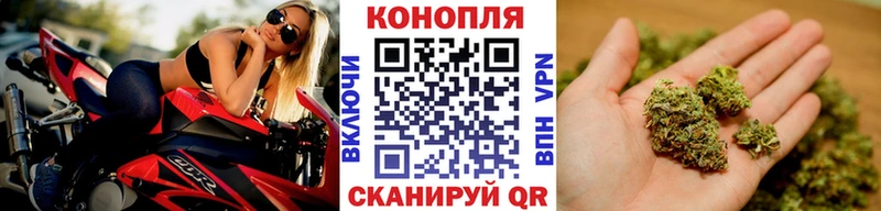 Купить закладки  Кондрово  Бошки марихуана THC 21% 